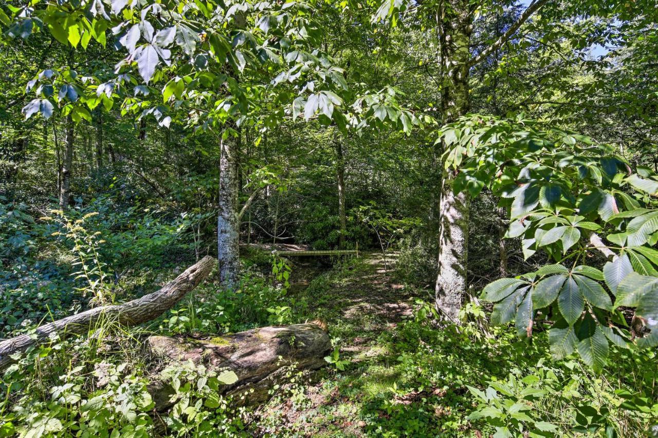 Dog-Friendly Cabin, 9 Mi To Sugar Mountain Resort Банър Елк Екстериор снимка